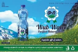 Partner 7